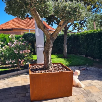 Corten acél virágláda 50*50*50 cm