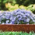 Kép 6/7 - Corten acél fix ágyásszegély, gyepszegély 10 cm